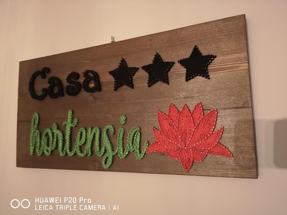 Casa Hortensia Tasnad Exteriér fotografie